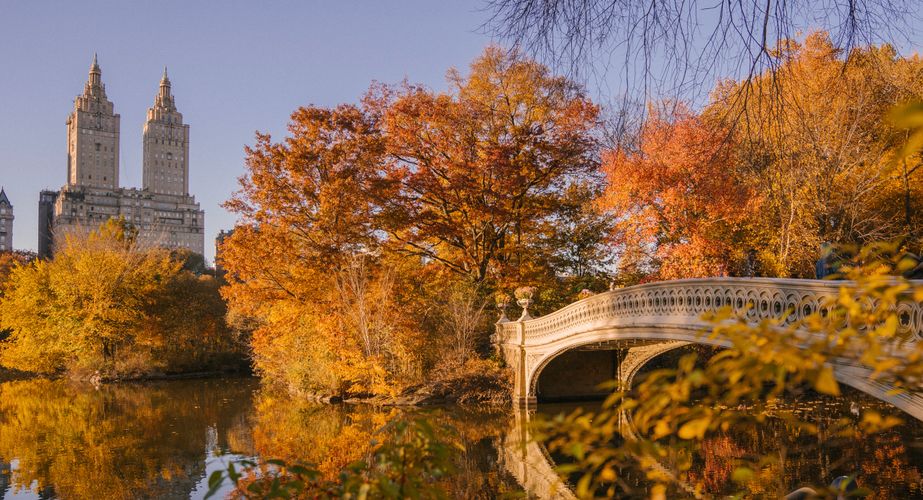 New York Central Park in de herfst New York Central Park in de herfst